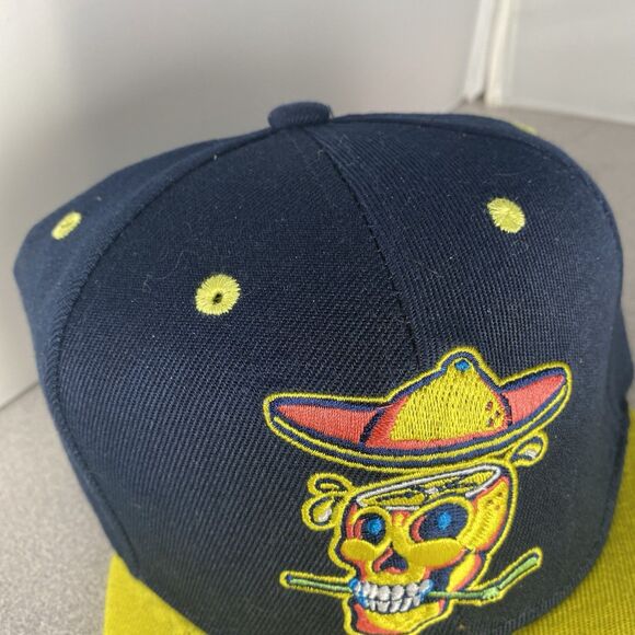 Lynchburg Hillcats Copa de la Diversi Hat Baseball Cap Skull Skeleton Strapback - Picture 3 of 6